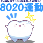 8020運動とは