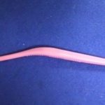 矯正中の口腔ケア