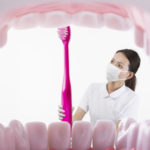 歯のそれぞれの役割について