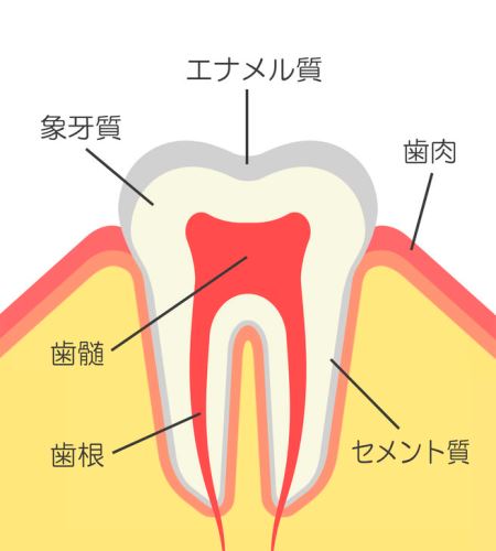 お役立ち情報 富山インプラント相談室