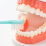 噛み合わせと運動機能