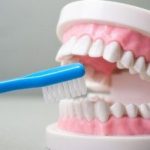 歯周病は人類史上最大の感染症