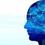 噛んだ刺激を脳に伝える？～歯根膜の役割～